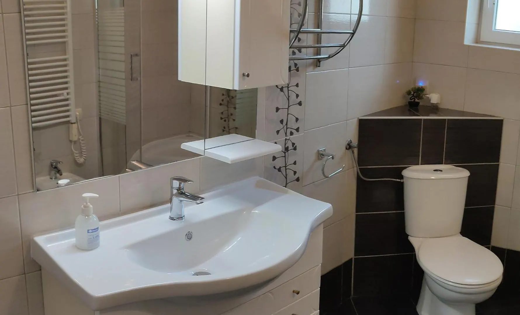 Apartment Anita Fazana